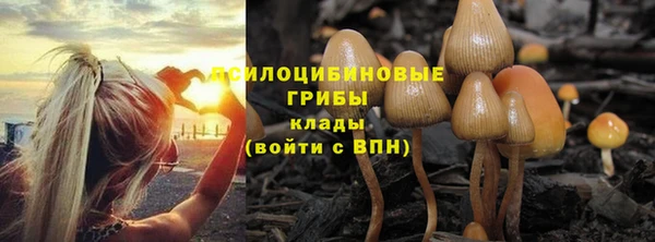 ALPHA PVP Балабаново